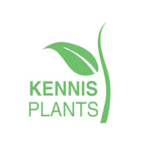 Kennisplants Zundert